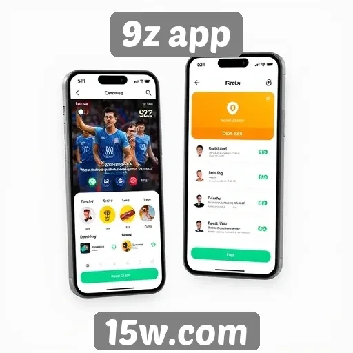 Avaliação da experiência de usuário no 9z app